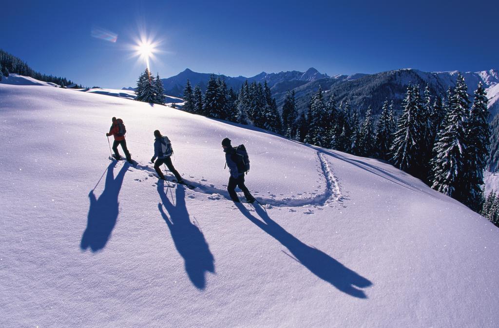 Alpina Zillertal . Family Lifestyle Kinderhotel Fügen Esterno foto